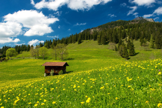 814566 (a): :2500x1668